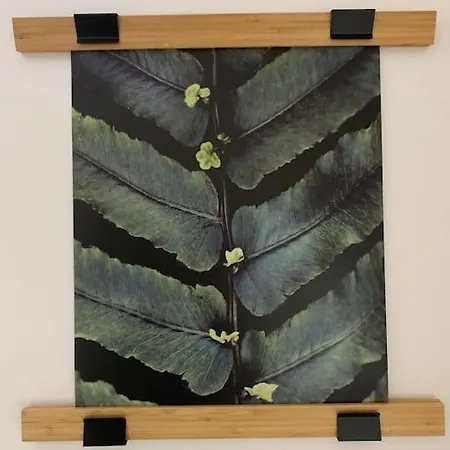 Schatzgraeberhaus Im Herzen Von Bamberg. アパート バンベルク